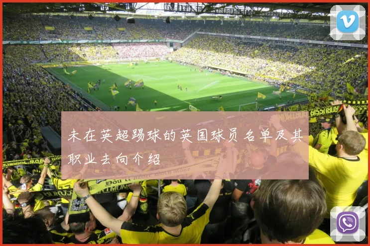未在英超踢球的英国球员名单及其职业去向介绍