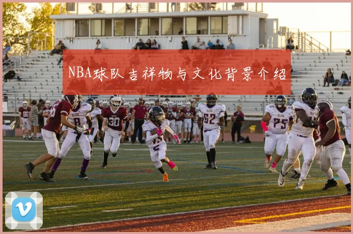 NBA球队吉祥物与文化背景介绍