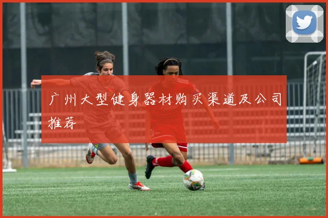 广州大型健身器材购买渠道及公司推荐