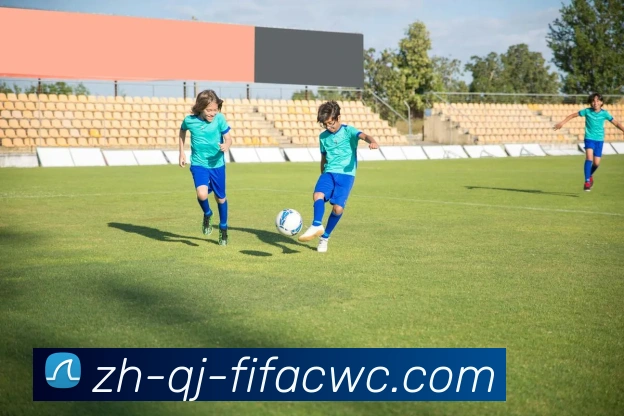 世界杯在线观看品牌故事